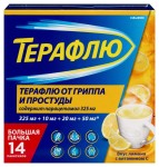 ТераФлю от гриппа и простуды, порошок для приготовления раствора для приема внутрь 22.1 г 14 шт лимон